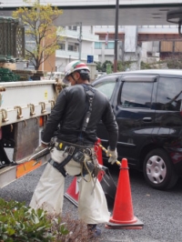 ［ハーネス普及編］①ハーネスを使っている人はどれくらいいるの？