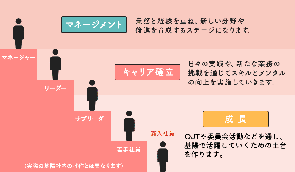 入社後のキャリアアップイメージ